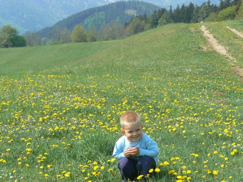 Schneeberg-en