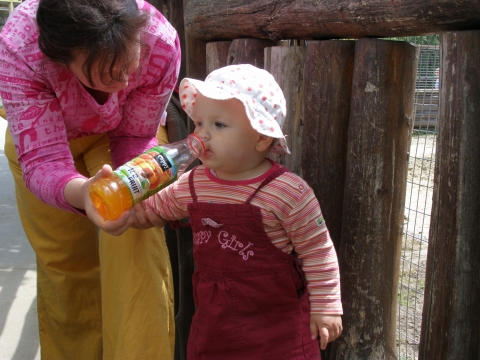 Itt az llatkerti sta alkalmval iszogatok a Cappys dtbl, mg a tesmk a nagysziklt msszk.